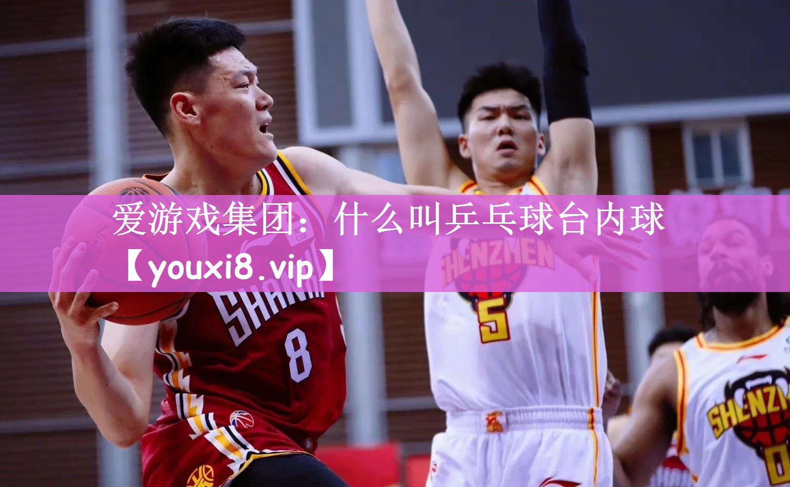 什么叫乒乓球台内球